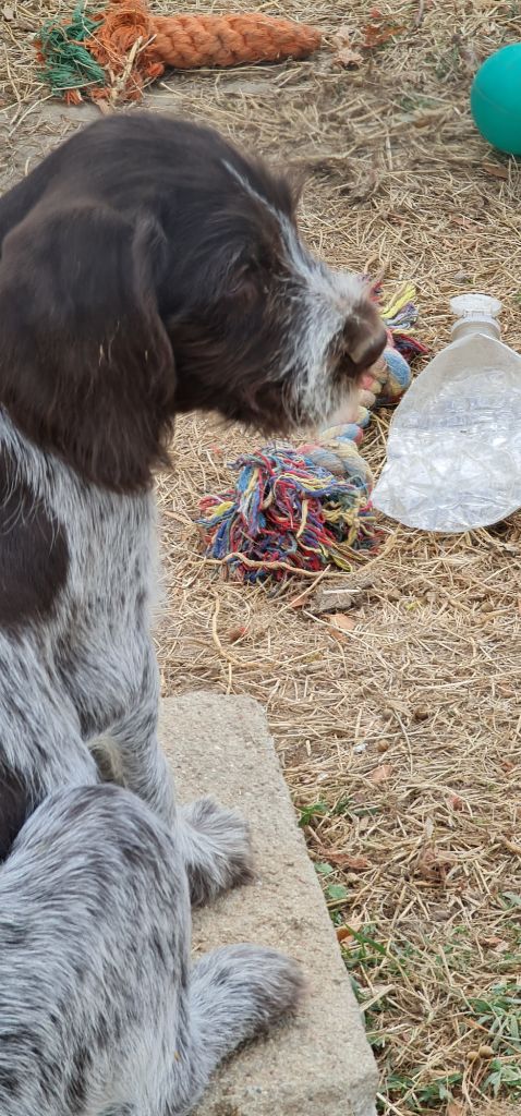 Publication : Du Domaine De Bussy Auteur : MAGALI BRIDET