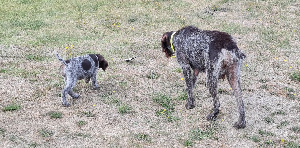 Publication : Du Domaine De Bussy Auteur : MAGALI BRIDET