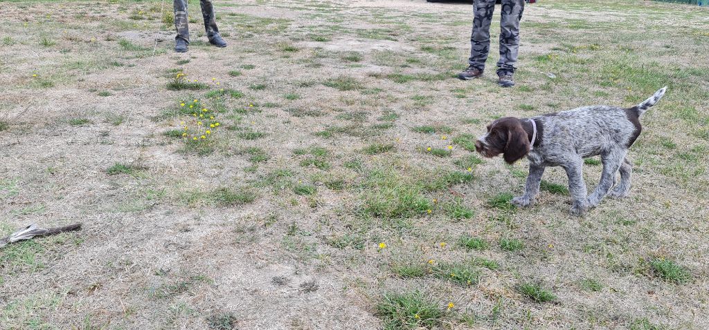 Publication : Du Domaine De Bussy Auteur : MAGALI BRIDET