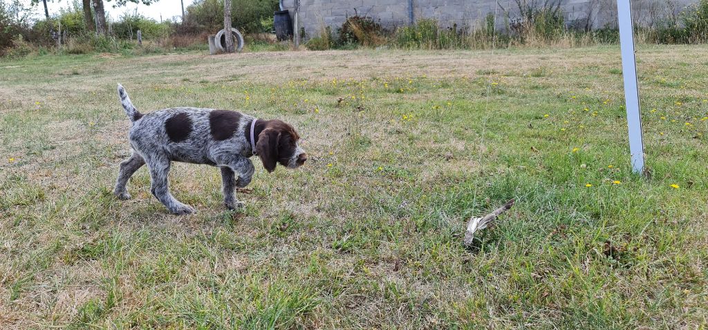 Publication : Du Domaine De Bussy Auteur : MAGALI BRIDET