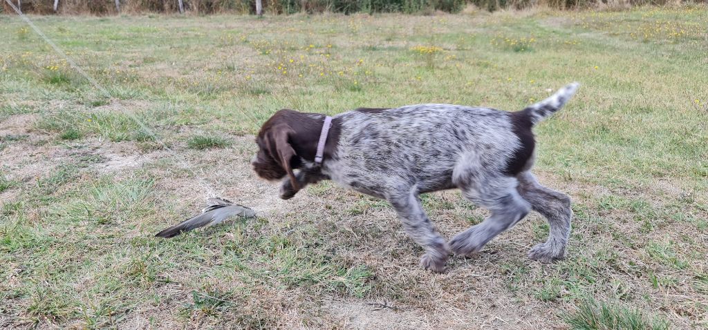 Publication : Du Domaine De Bussy Auteur : MAGALI BRIDET