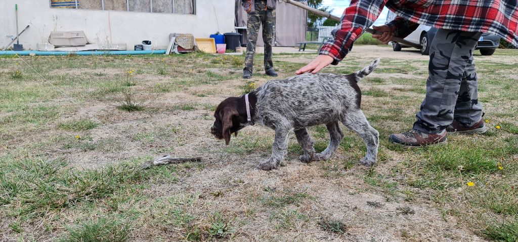 Publication : Du Domaine De Bussy Auteur : MAGALI BRIDET