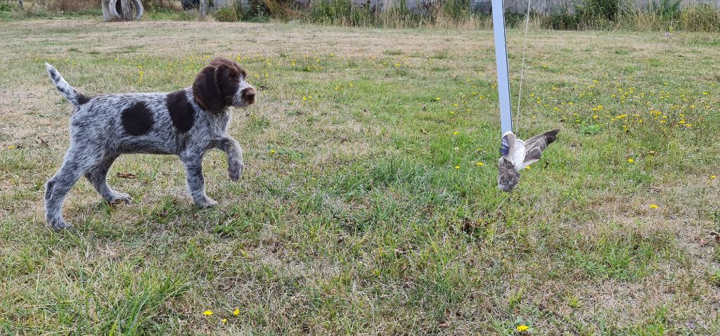 Publication : Du Domaine De Bussy Auteur : MAGALI BRIDET