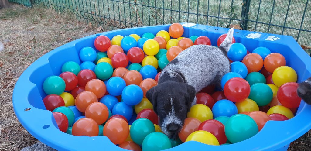 Publication : Du Domaine De Bussy Auteur : MAGALI BRIDET