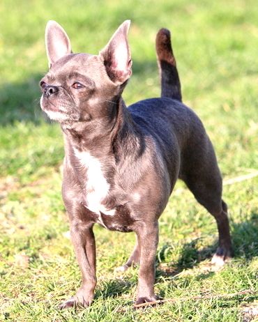 Publication : Du Secret Des Dieux Auteur : ludovic poirier