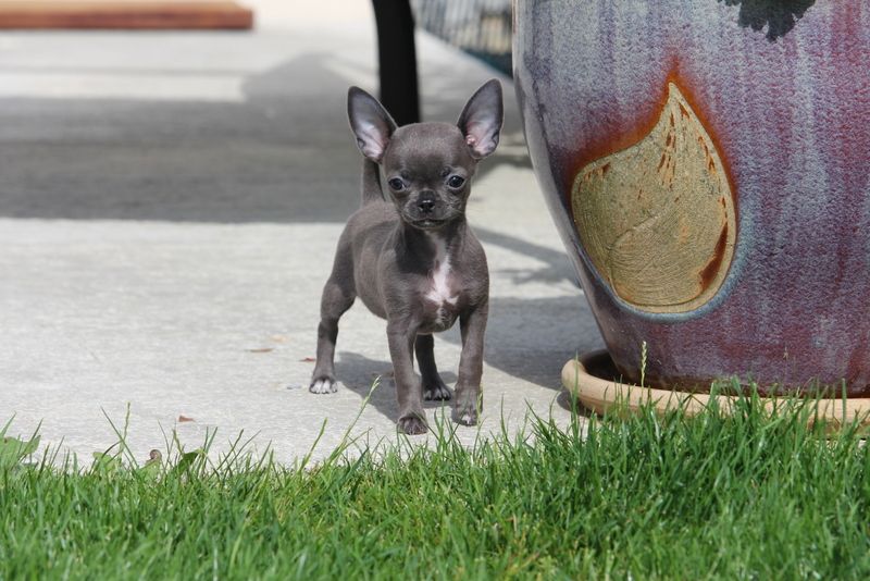 Publication : Du Secret Des Dieux Auteur : ludovic poirier