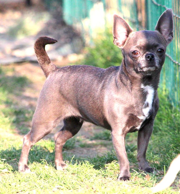 Publication : Du Secret Des Dieux Auteur : ludovic poirier