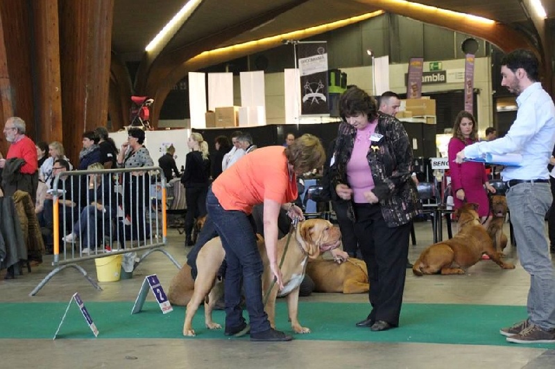 Nic nac Du Colroy - exelent cl jeune