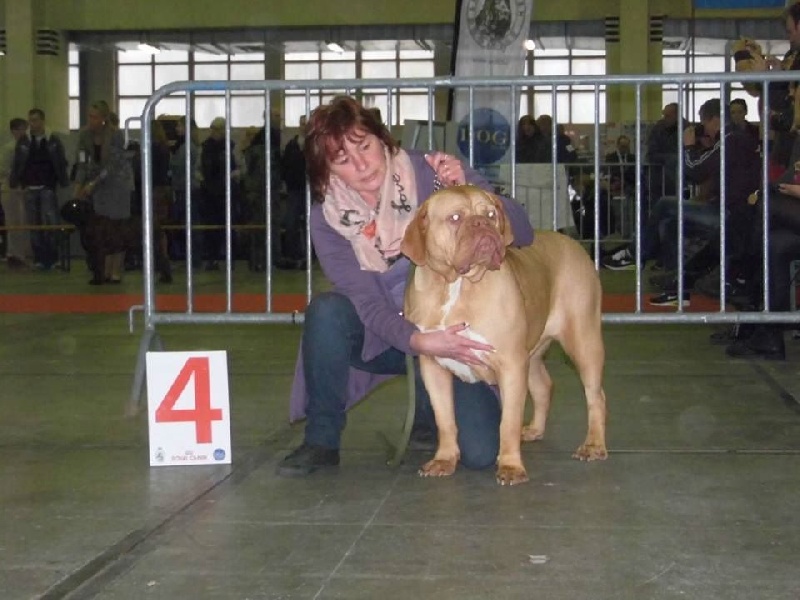 Nic nac Du Colroy - 4 excellent cl jeune