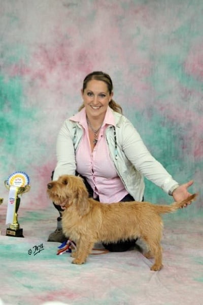 CH. Amelie didi's clan