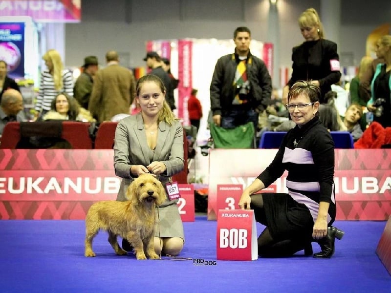 CH. Amelie didi's clan