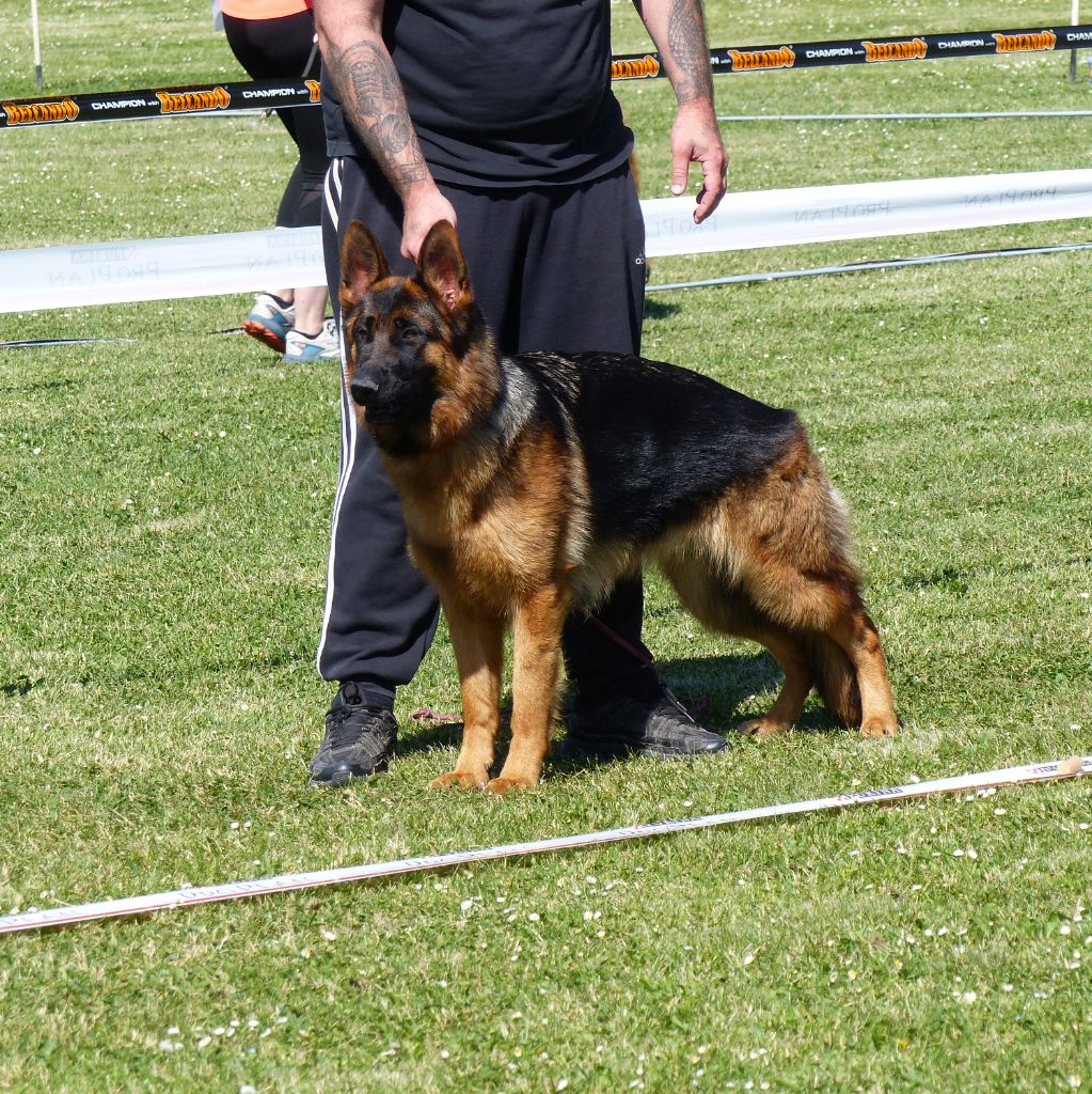 Volcane dit varta Du Val De La Muance - 2°