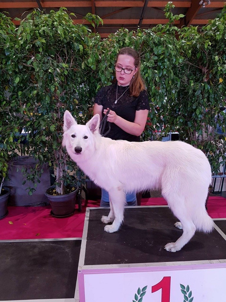 Maï jo De La Vallée Du Rêve Blanc - 1ère, excellent