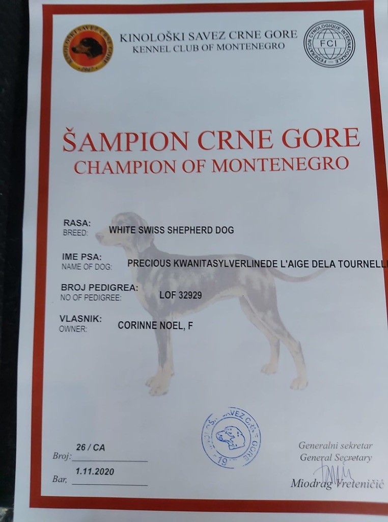 CH. Precious kwanita silver line de l'aige de la tournelle - 1ère, CAC, RCACIB