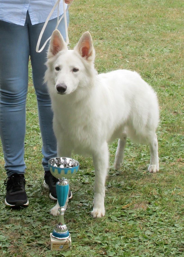 Maï jo De La Vallée Du Rêve Blanc - 2em excellent