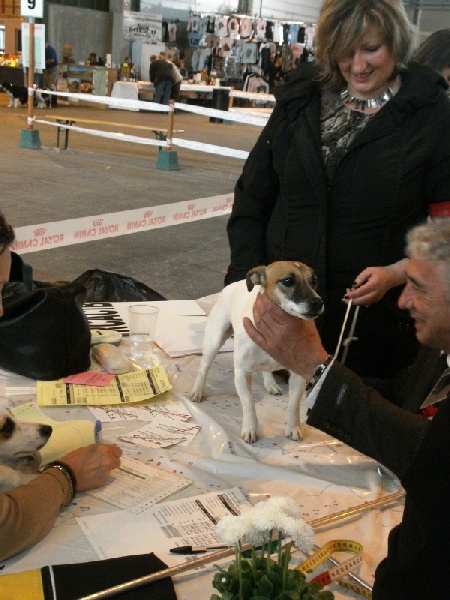 Heidi (Sans Affixe) - 3 ieme TRES BON en classe ouverte femelles