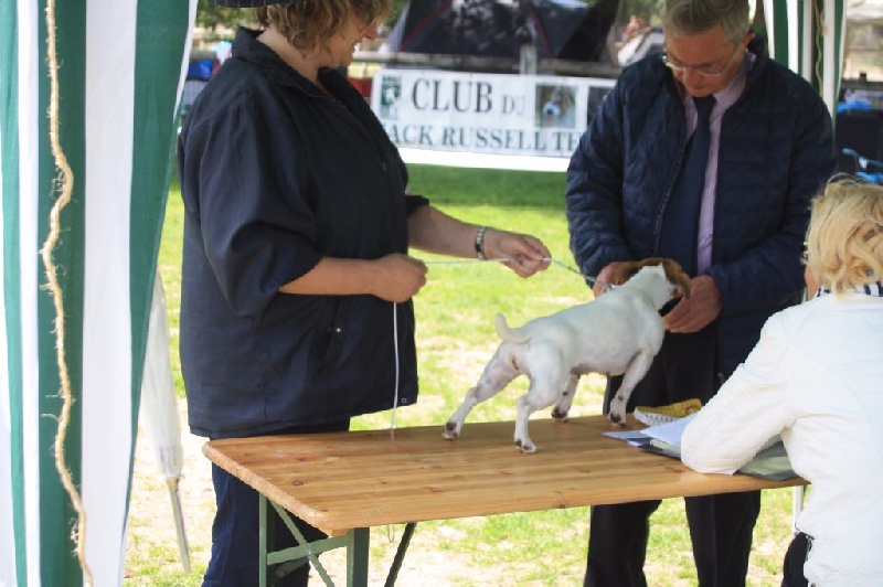 Heidi (Sans Affixe) - cinquième Très Bon