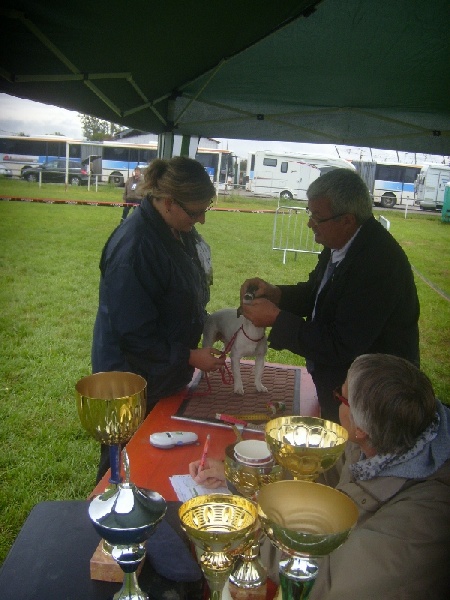 Heidi (Sans Affixe) - 3ieme TRES BON classe INTERMEDIAIRE