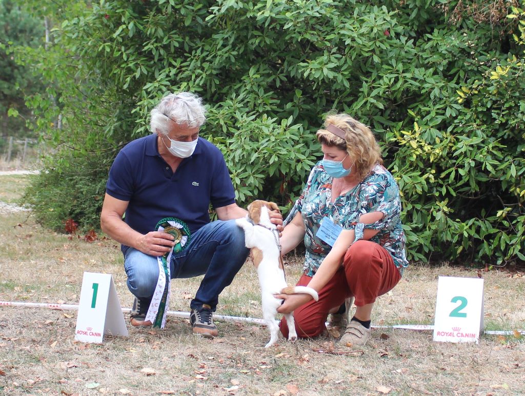 Rainbow love De La Cité Du Bolwerk - 1er Très Prometteur BIS Baby