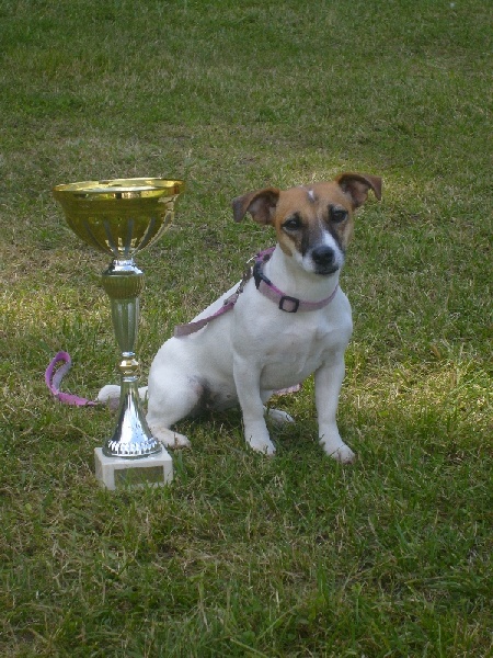 Heidi (Sans Affixe) - CLASSE 1 :EXC