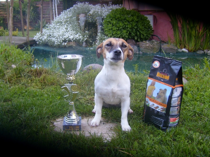 Heidi (Sans Affixe) - BON 180 pts 4/6