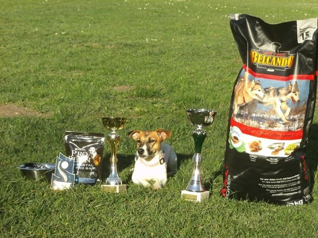 Heidi (Sans Affixe) - CSAU