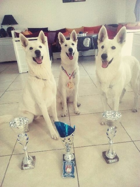 Flicka du domaine de pegase - 3 ème MEILLEURE PAIRE