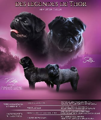 Des Legendes De Thor