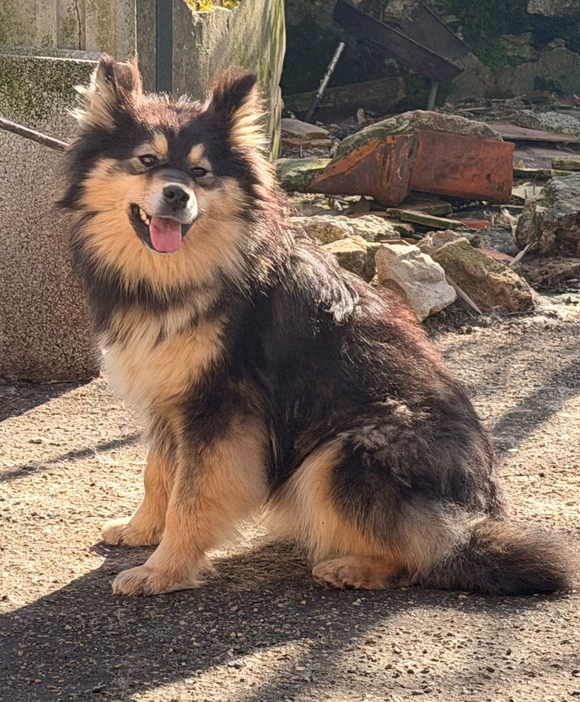 Alpha-alpine du Domaine du Chai de Majolan