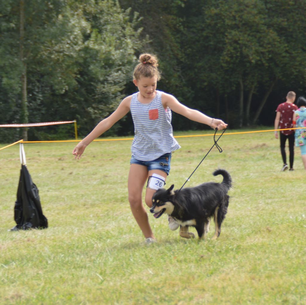 Nokia yumi of artic cobaka - 2 EXCELLENT CLASSE inter