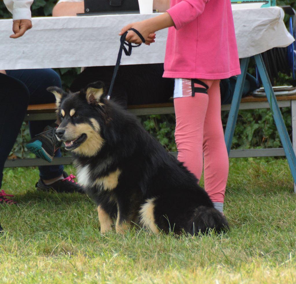 vis et cloria Oceano - TRES PROMETEUR MEILLEUR PUPPY