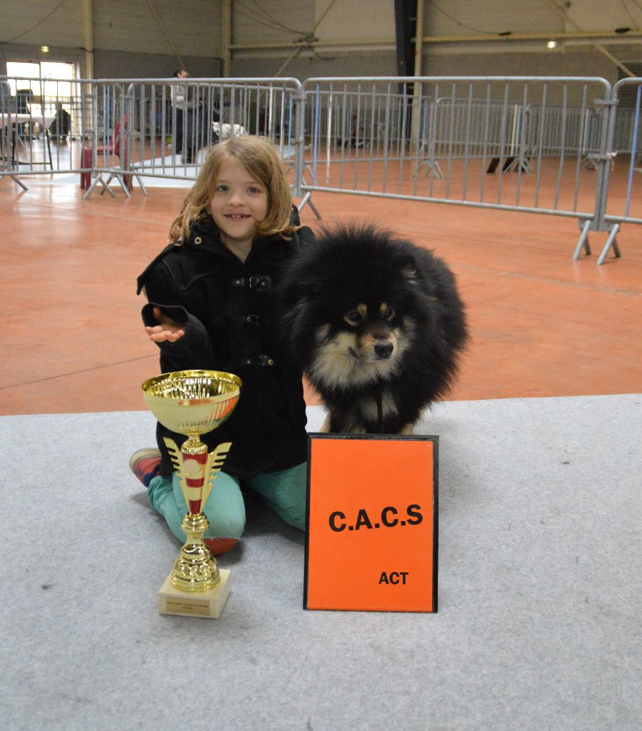 CH. Marvelous-montana du pays de l'aurore boréale - 1ER EXCELLENT CAC MEILLEUR DE RACE