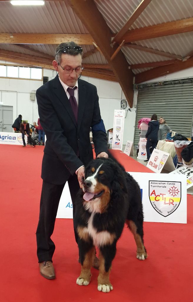 Bayraktar tb2 kisses of fortune - 1 très bon CLASSE JEUNE