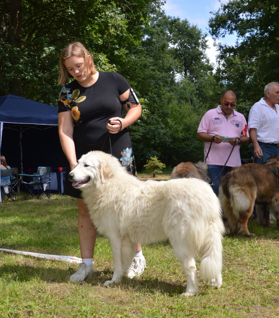 Radieuse de kaiku borda - MEILLEUR JEUNE MEILLEUR DE RACE SEX OPPOSE1 EXCELLENT classe jeune