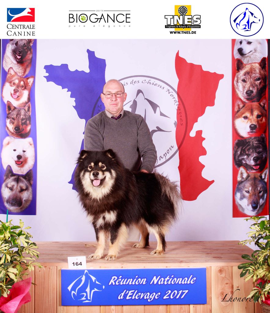 CH. Marvelous-montana du pays de l'aurore boréale - 2 excellent CLASSE JEUNE