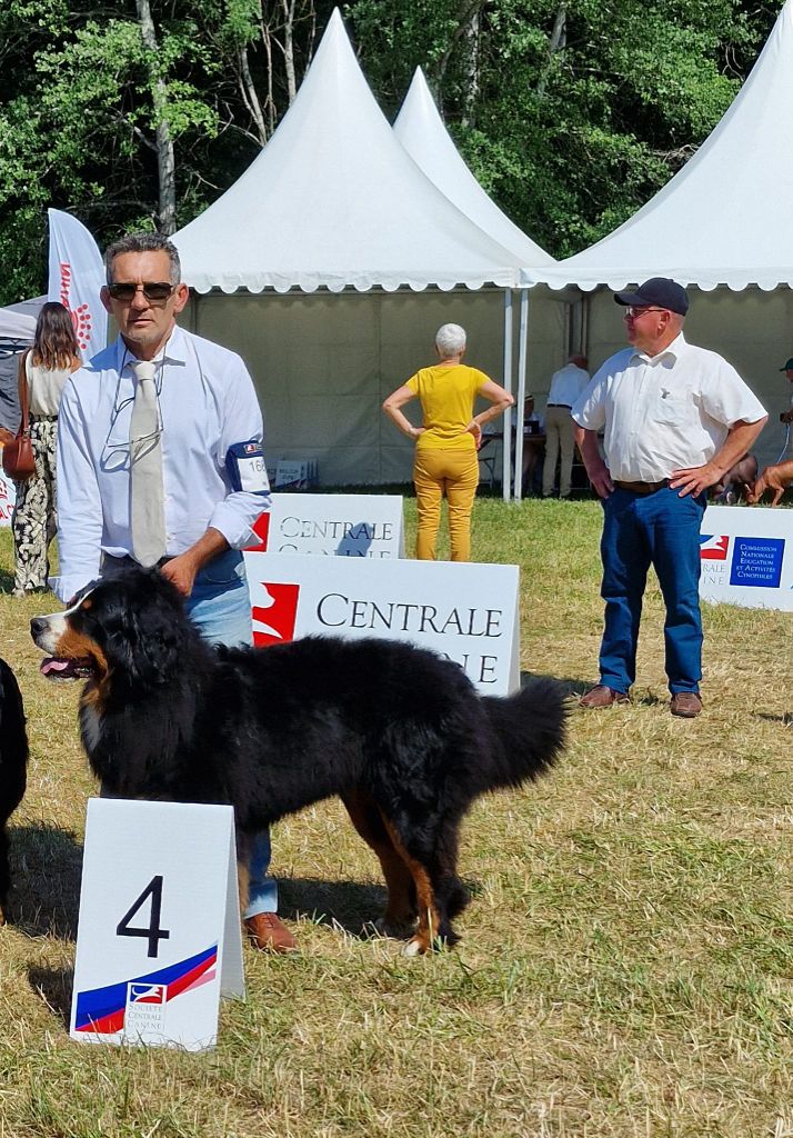 Bayraktar tb2 kisses of fortune - 4 TRES BON CLASSE JEUNE MALE