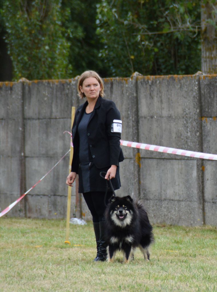 CH. Marvelous-montana du pays de l'aurore boréale - 2ème EXCELLENT