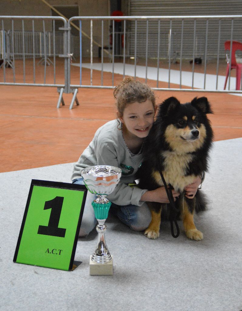 Nokia yumi of artic cobaka - 1 excellent MEILLEUR JEUNE ET SEXE OPPOSE