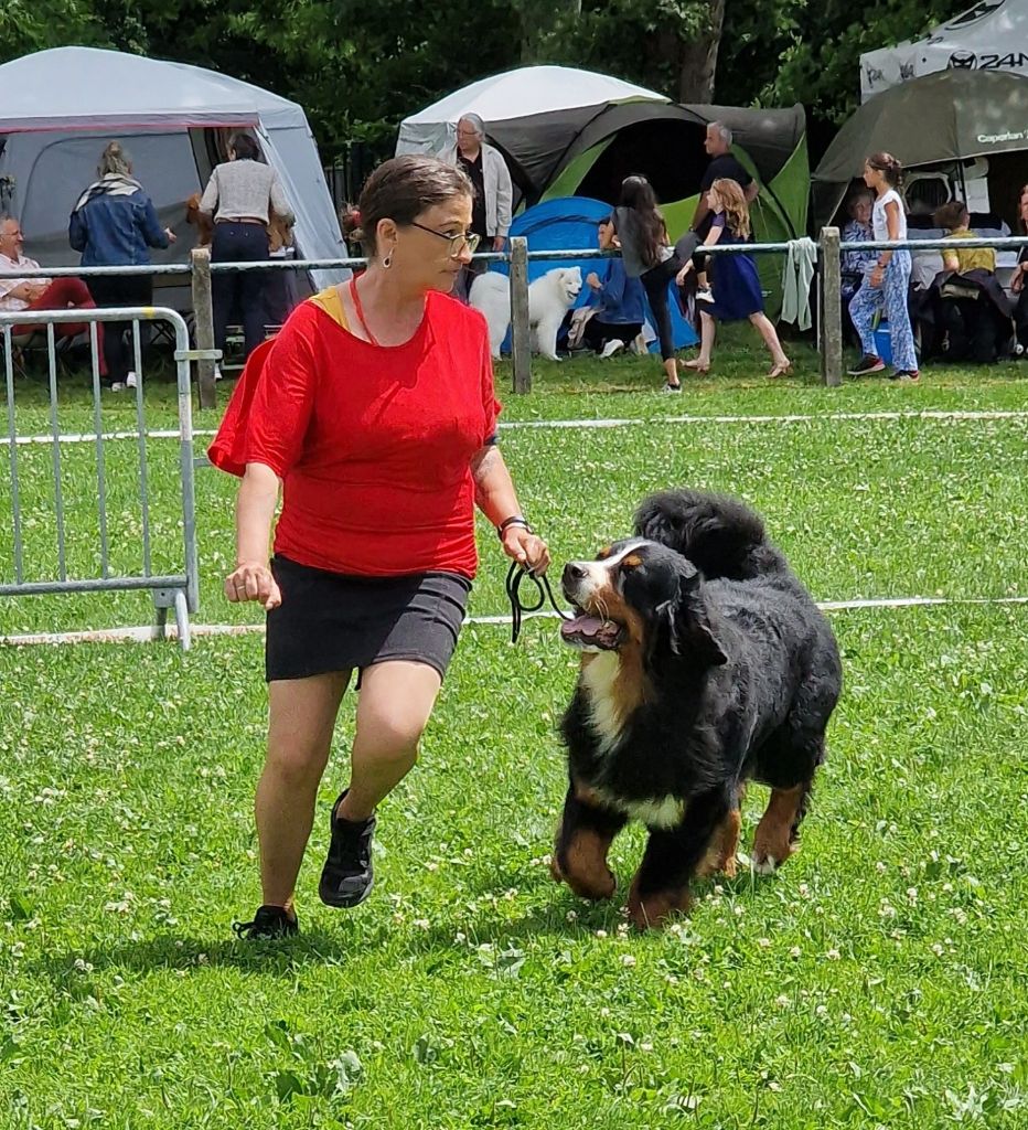 Bayraktar tb2 kisses of fortune - 2 EXCELLENT classe jeune