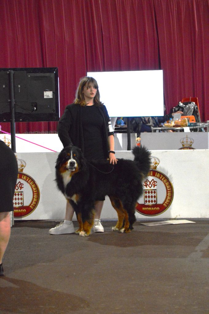 Bayraktar tb2 kisses of fortune - 2 EXCELENT CLASSE JEUNE