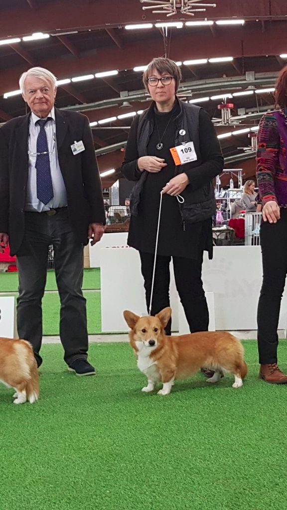 Orell ursa major Des Boroillots - 1er excellent, Meilleure jeune