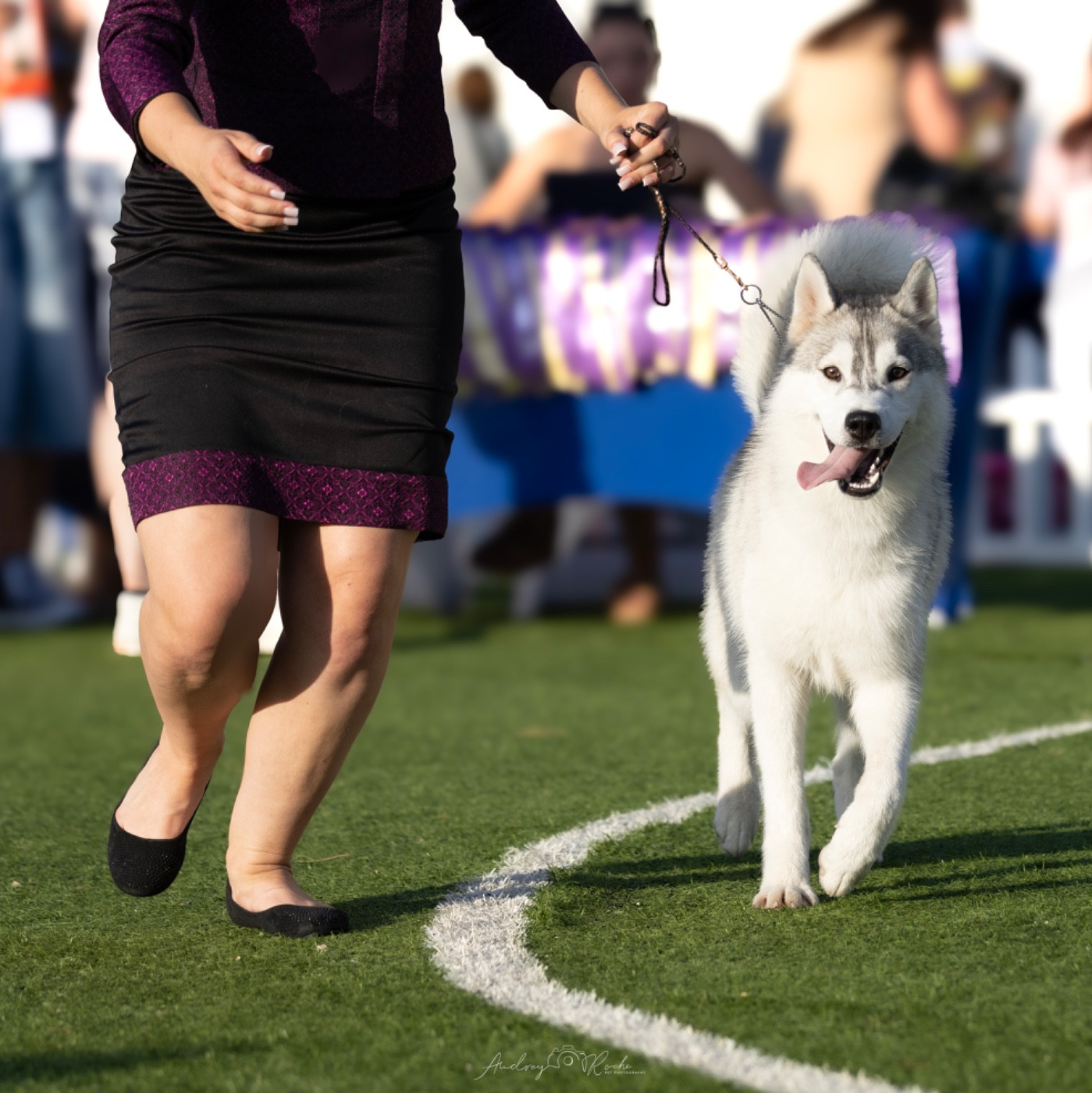 Victor Of cool water