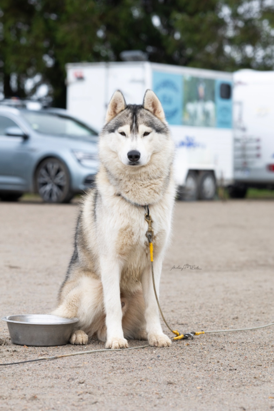 Varsawa Of The Land Of Midnight