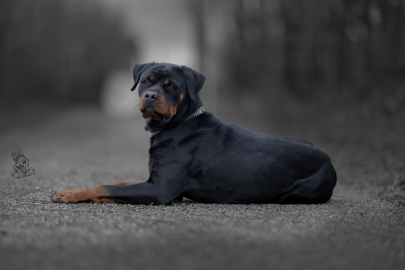 Uskana Of The Land Of Midnight