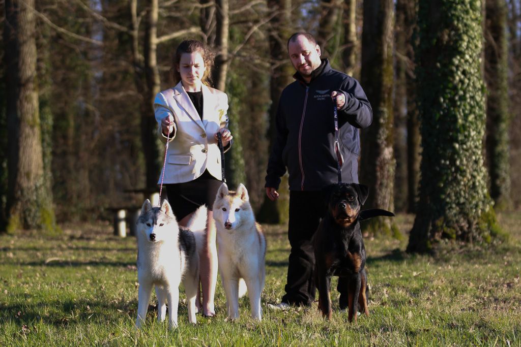 Savanna kabri - V2 en classe jeune