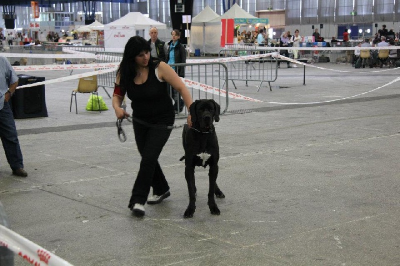 Fidji des Rêves de Burtone - 1er très bon