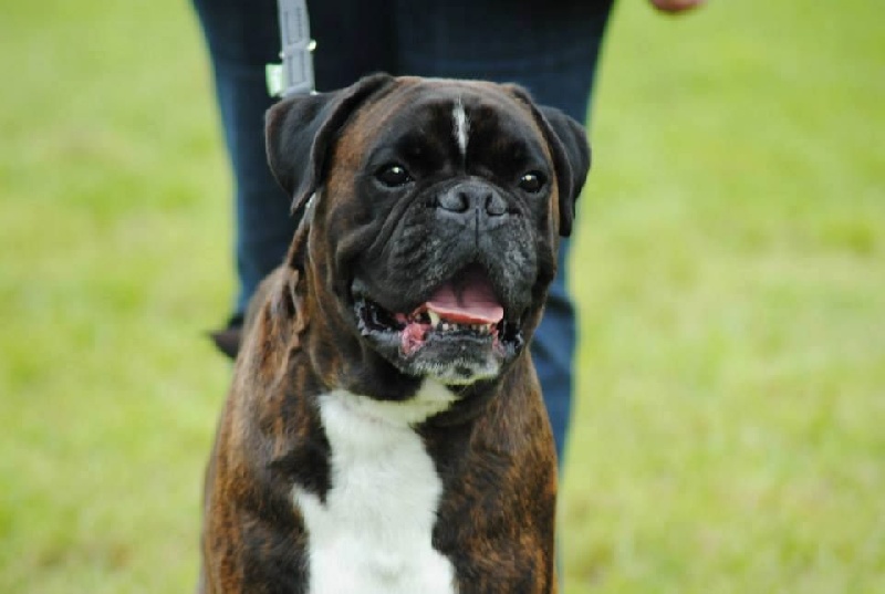 Publication : Des Gardiens D'Utthor Auteur : lorgue celine