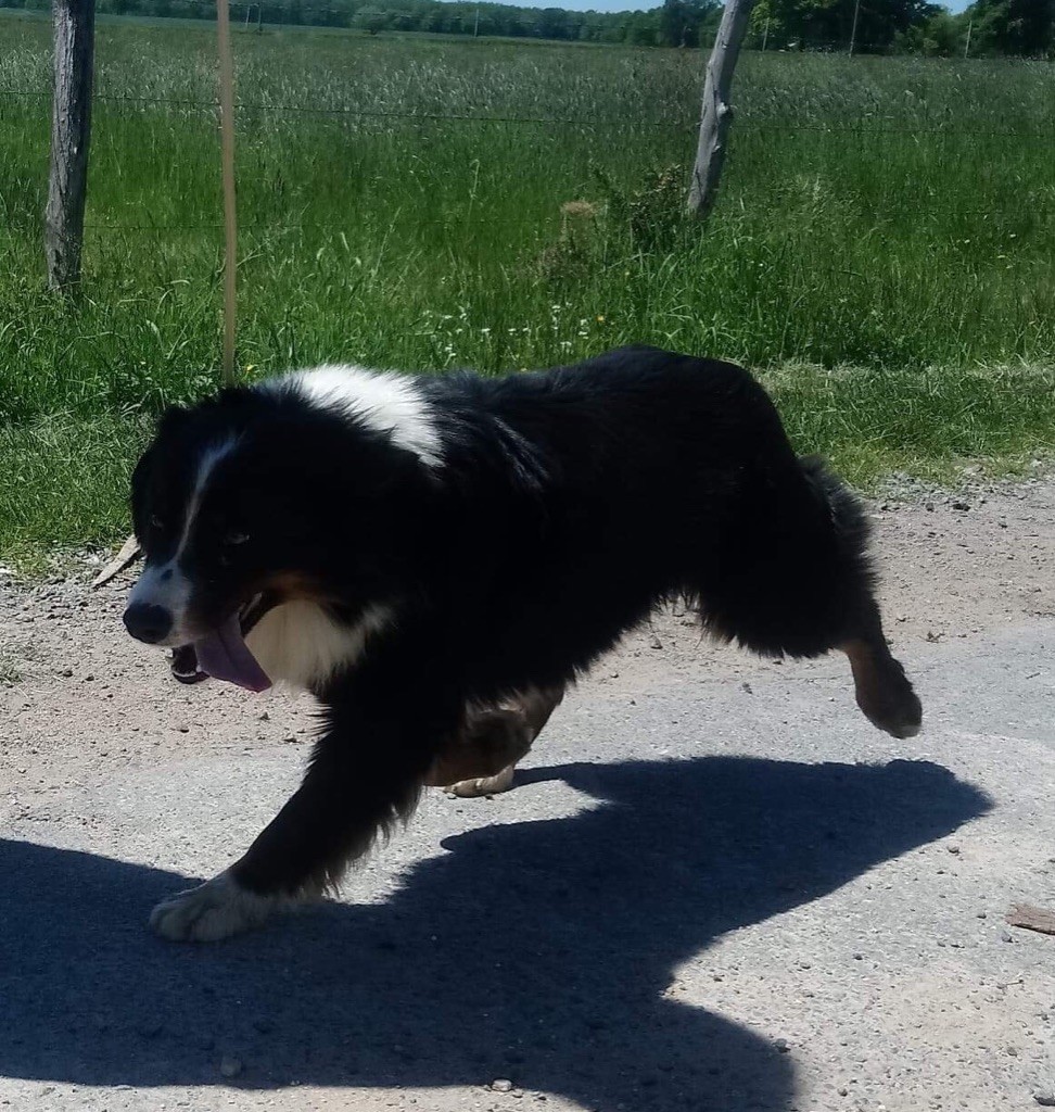 Publication : du Clos Felagund Auteur : Wateau