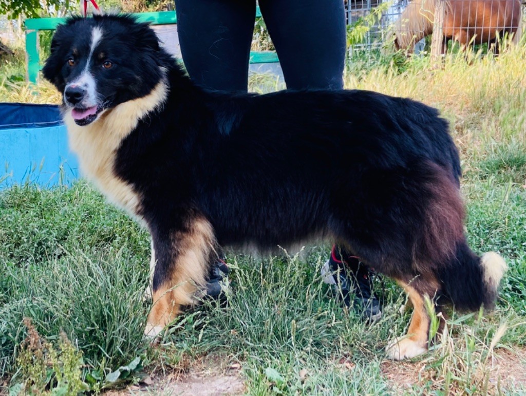 Publication : du Clos Felagund