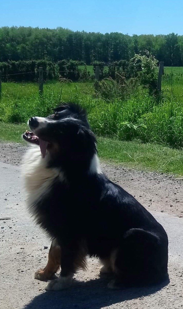 Publication : du Clos Felagund Auteur : Wateau